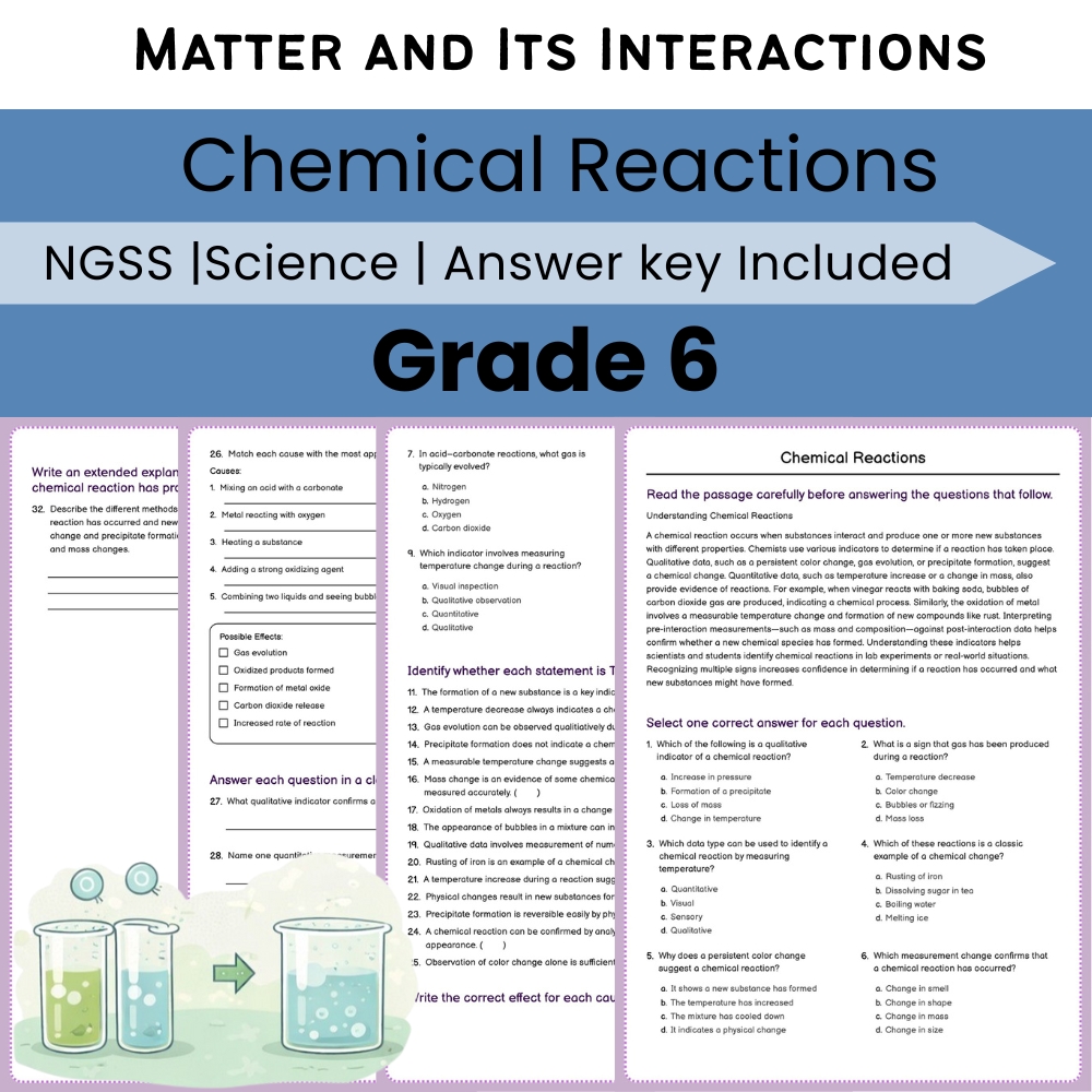 Grade 6 Science NGSS Worksheet Bundle | Comprehensive STEM Practice Pack — included worksheet 25