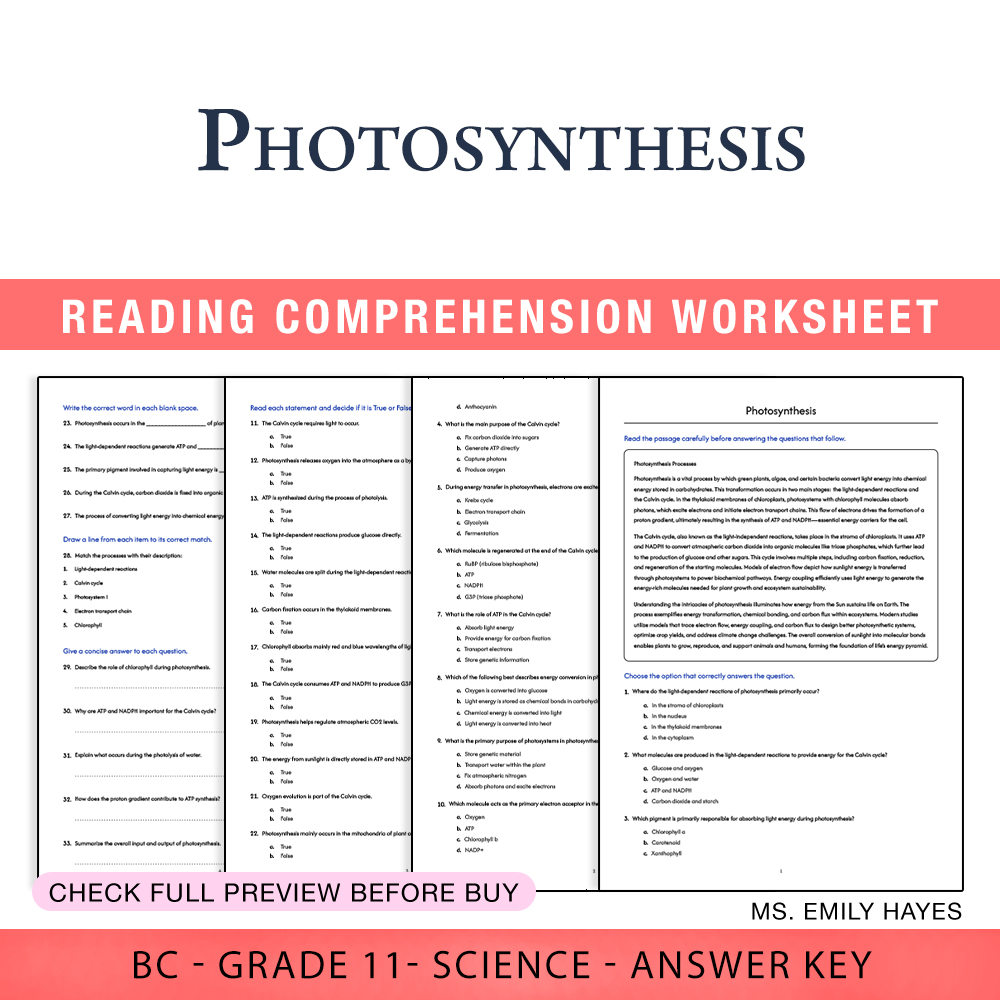 Grade 11 Science worksheet worksheet — 11th Grade Science | Photosynthesis Worksheet (PDF + Answer Key) — page 1