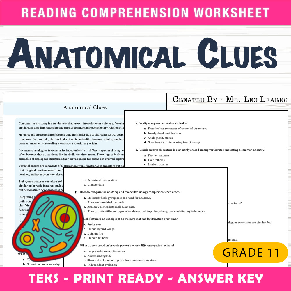 Grade 11 Science worksheet worksheet — Grade 11 Science | Anatomical Clues Worksheet for Mastering Evolution — page 1