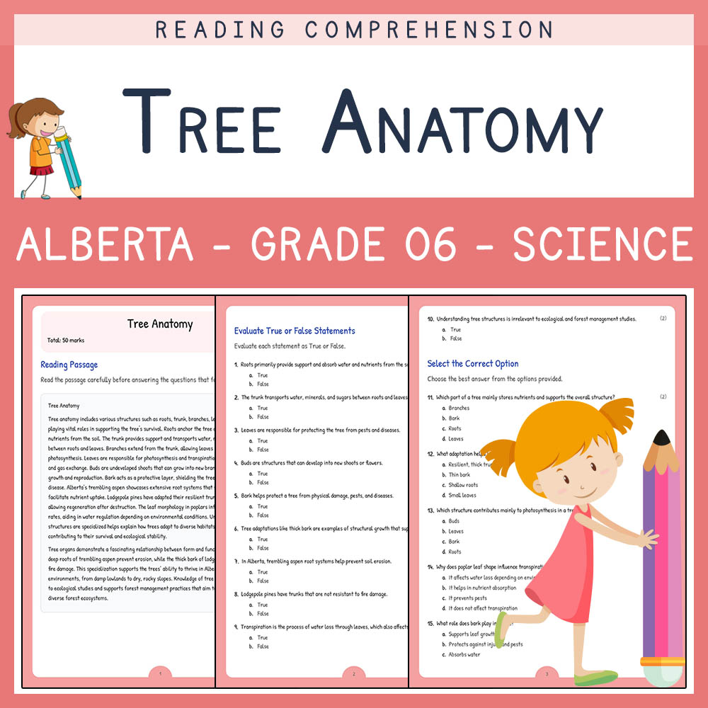Grade 6 Science worksheet elena worksheet — Grade 6 Science Assessment | Tree Anatomy Worksheet Elena | Alberta Standard —…