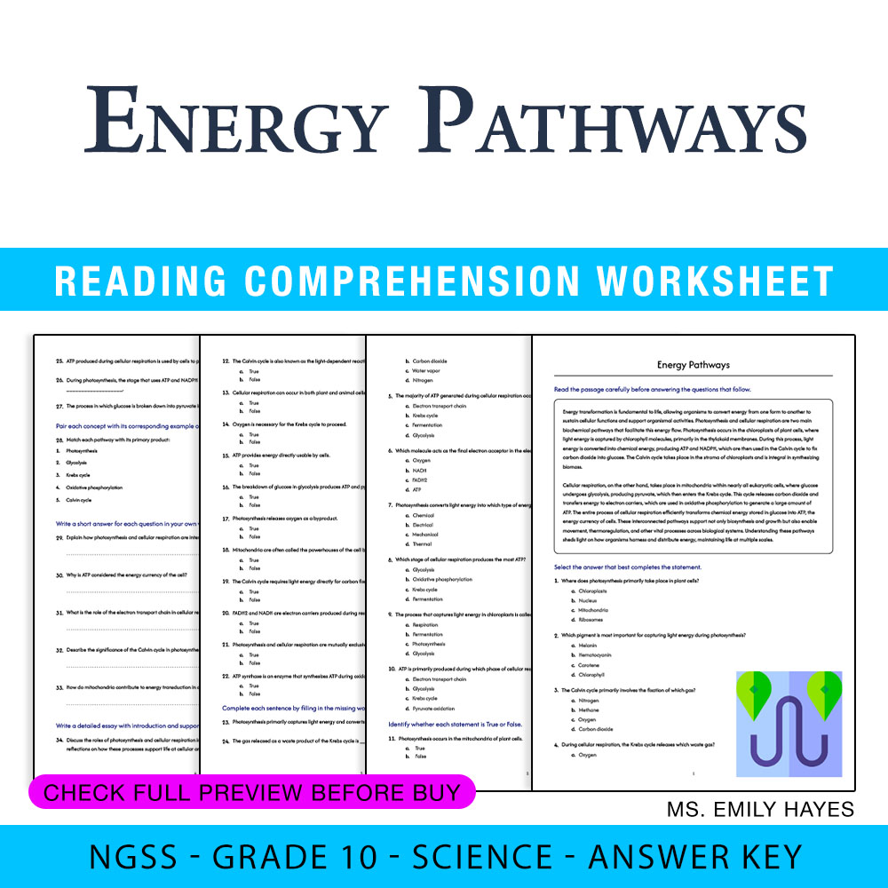 Grade 10 Science worksheet worksheet — 10th Grade Science | Energy Pathways Worksheet (PDF+ Answer Key) — page 1