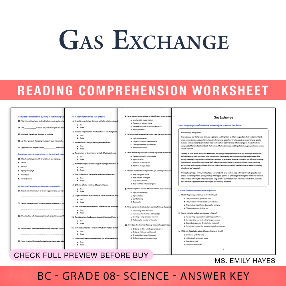 Grade 8 Science worksheet worksheet — 8th Grade Science | Gas Exchange Worksheet (PDF+ Answer Key) — page 1