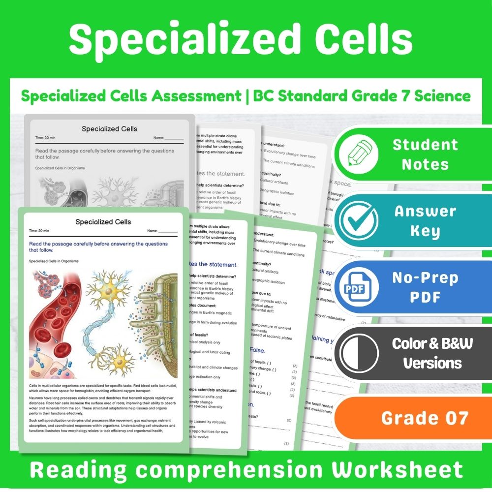 Grade 7 Science | Cell Functions & Organization Assessment – Standards-Aligned — included worksheet 10