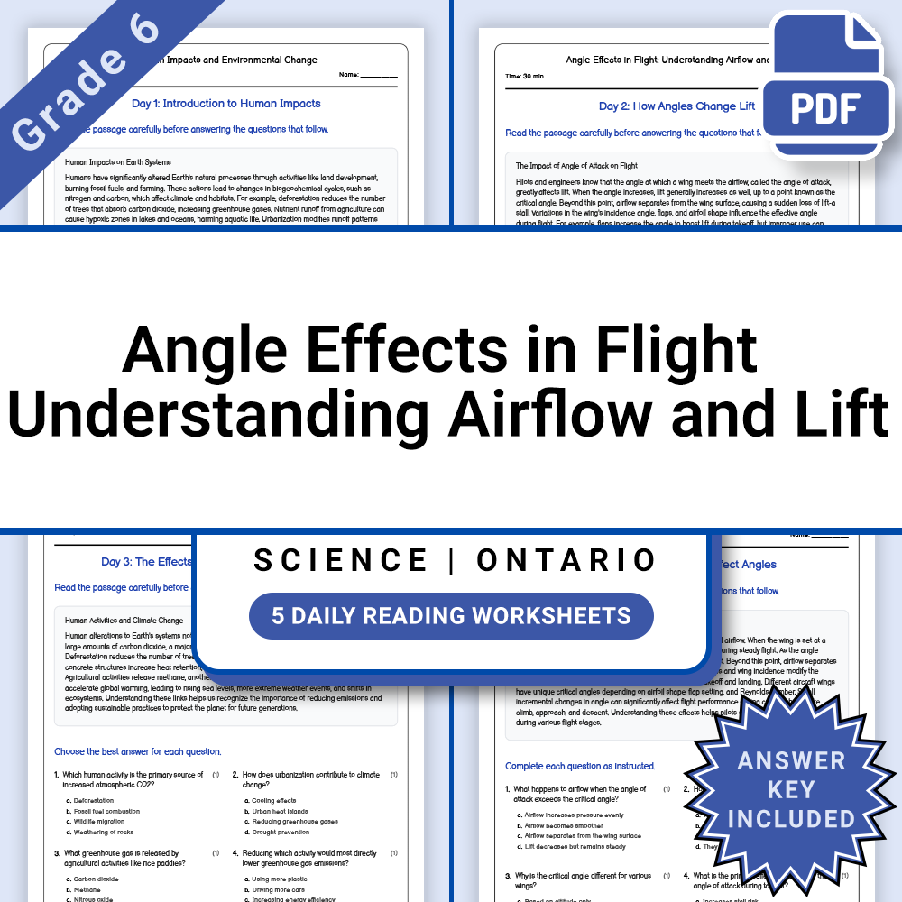 Grade 6 Science Flight Lesson Bundle | Ontario Framework — included worksheet 7