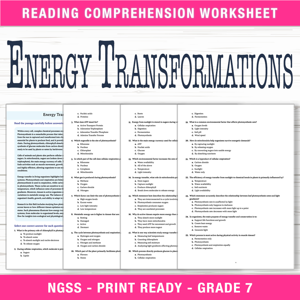 Grade 7 Science worksheet worksheet — Grade 7 Science – Energy Transformations Worksheet (PDF + Answer Key) — page 1