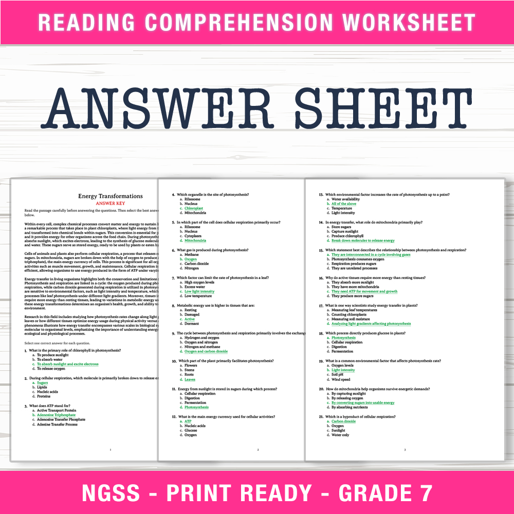Grade 7 Science worksheet worksheet — Grade 7 Science – Energy Transformations Worksheet (PDF + Answer Key) — page 2