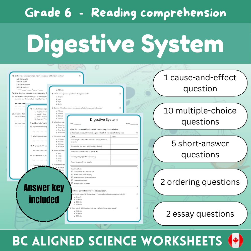 Grade 6 Science science 1 worksheet — Grade 6 Science | Digestive System Worksheet + Answer Key – BC standards