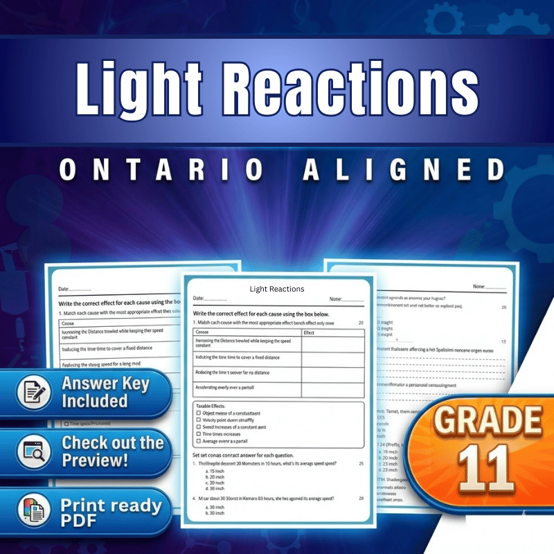 Grade 11 Science – Light Reactions Worksheet (Ontario) (PDF)