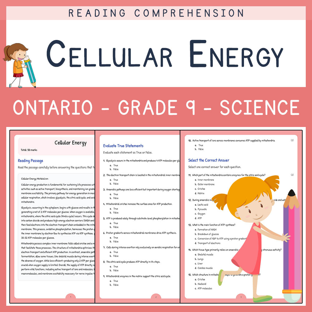 Grade 9 Science worksheet elena worksheet — Grade 9 Science  | Cellular Energy Worksheet Elena | Ontario Standards — page 1