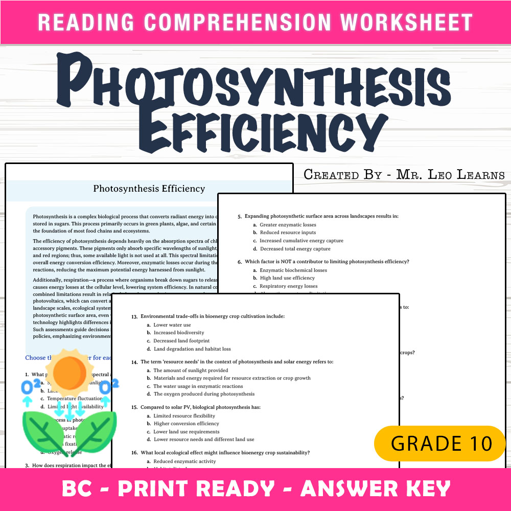 Grade 10 Science worksheet mcq paper worksheet — Grade 10 Science — Photosynthesis Efficiency Worksheet MCQ for Mastery —…