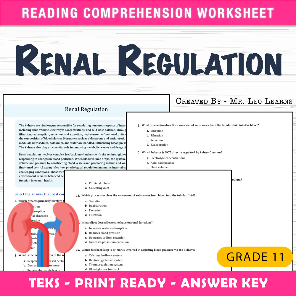 Grade 11 Science worksheet worksheet — Grade 11 Science | Renal Regulation Worksheet for Mastery — page 1