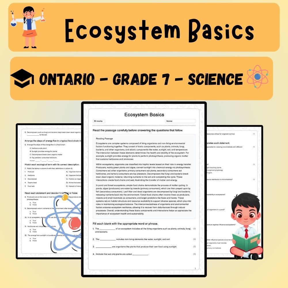 Grade 7 Science worksheet worksheet — Grade 7 Science | Ecosystem Basics Worksheet (PDF ) – Ontario Standards — page 1