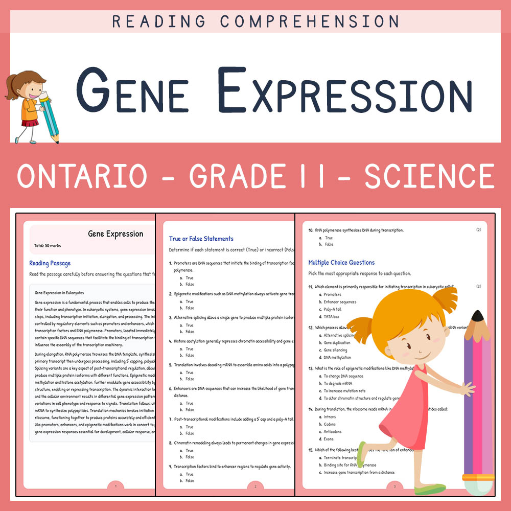 Grade 11 Science worksheet elena worksheet — Grade 11 Science |  AssessmentGene Expression Worksheet Elena | Ontario — page 1