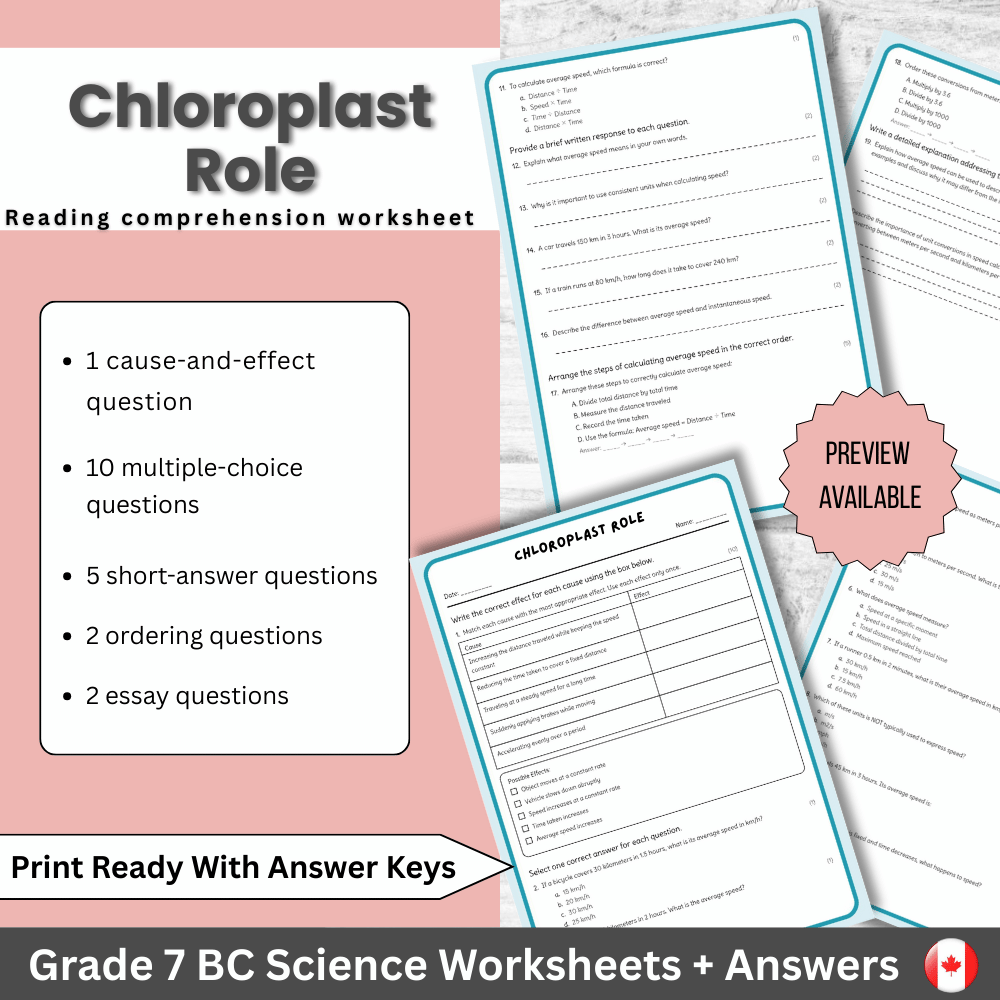 Grade 7 Science | Chloroplast Role Worksheet with Answer Key (PDF)