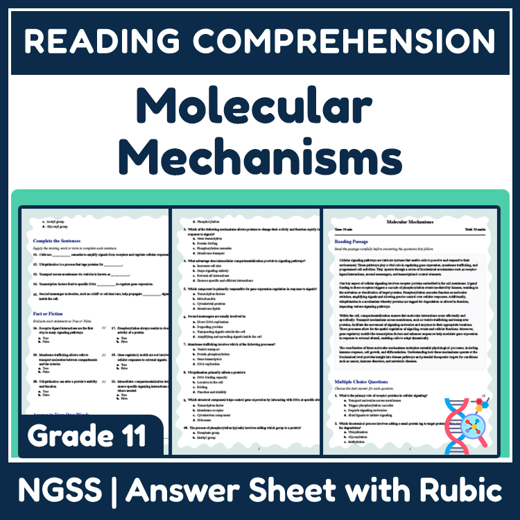 Grade 11 Science reading worksheets worksheet — Grade 11 Science | Molecular Mechanisms Reading Worksheet (PDF + Answer Ke…