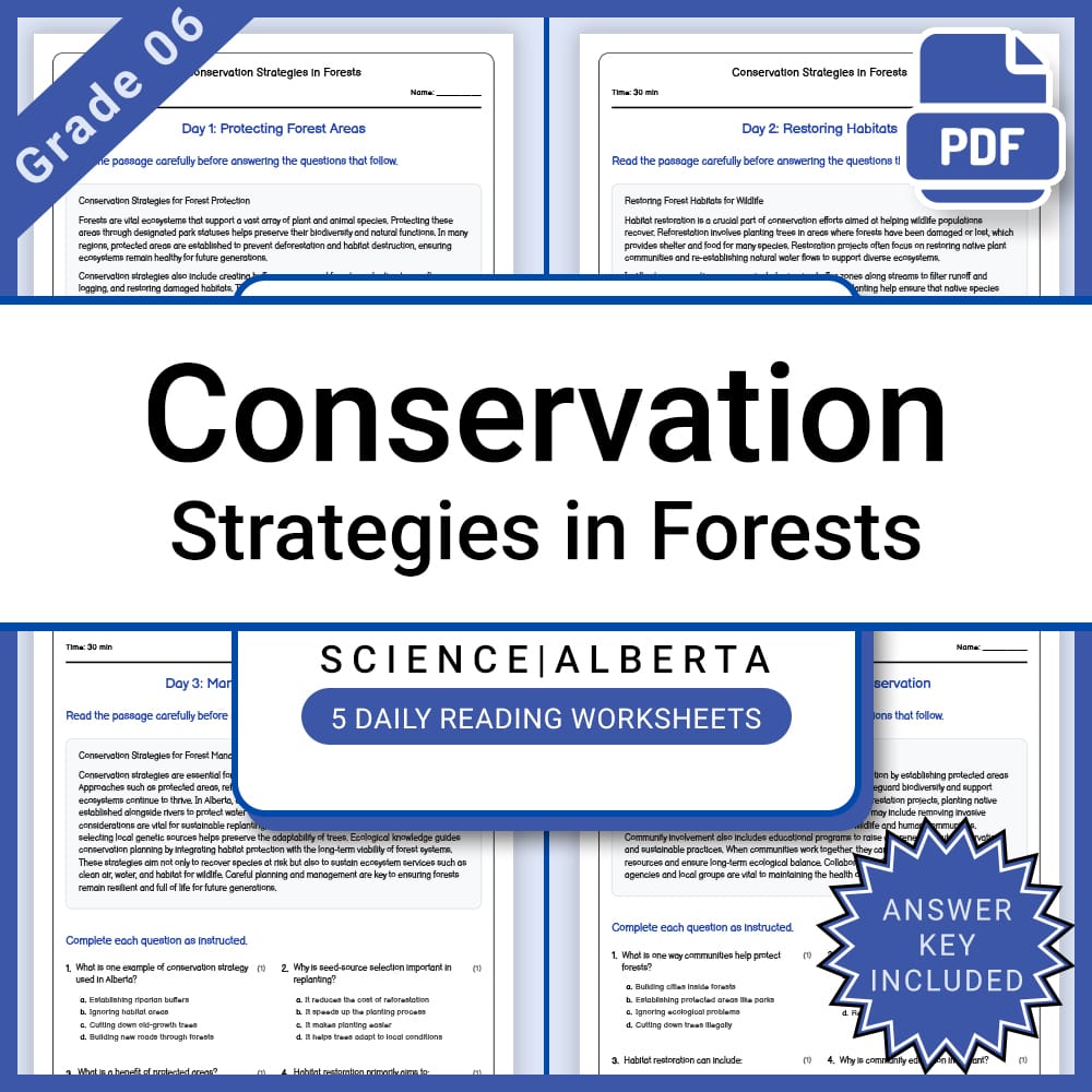 Grade 6 Science Full Year Bundle | Weather, Ecosystems, Flight & Space — included worksheet 29