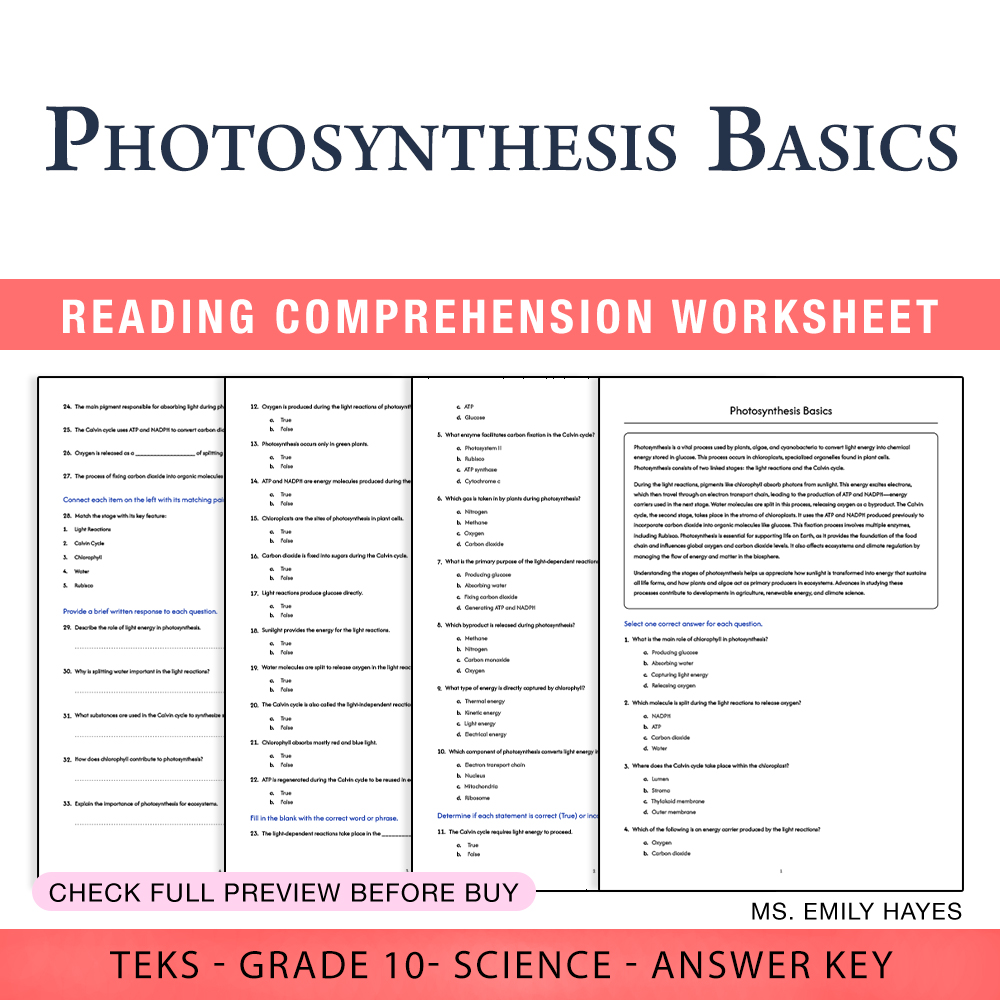 Grade 10 Science worksheet worksheet — Grade 10 Science | Photosynthesis Basics Worksheet (PDF+ Answer Key) — page 1