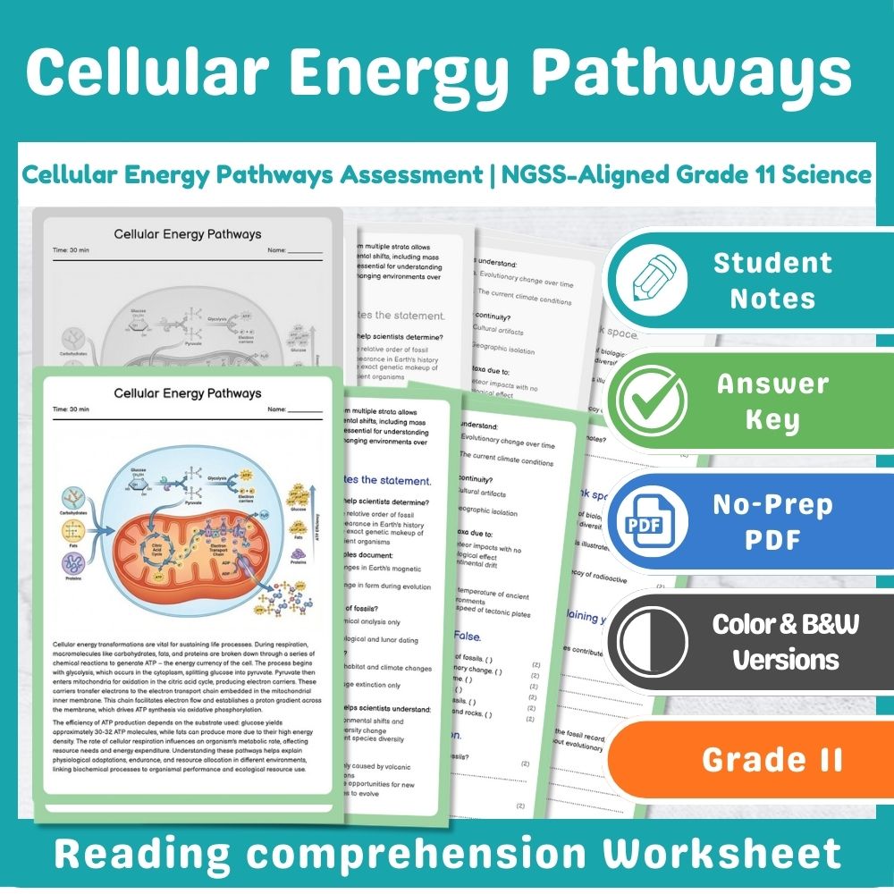 Grade 11 Science assessment worksheet — Cellular Energy Pathways Assessment | NGSS-Aligned Grade 11 Science
