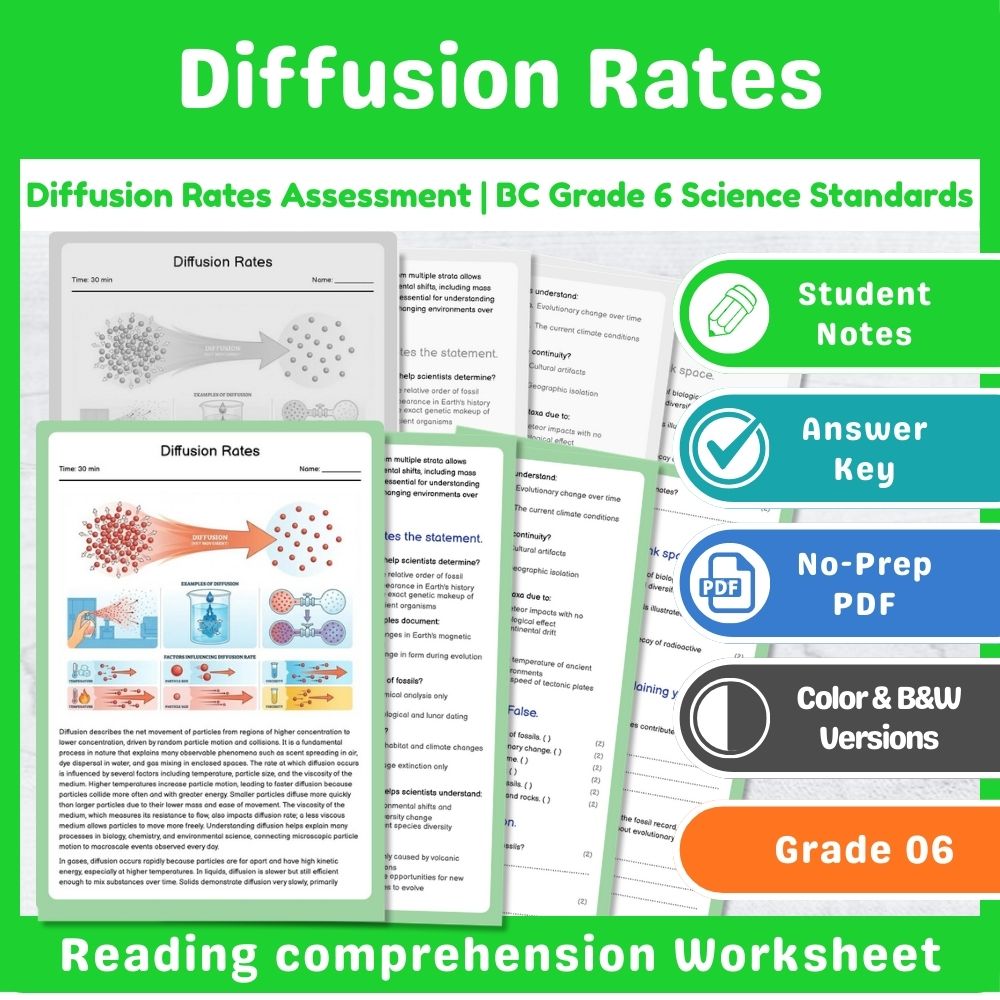 Grade 6 Science – Chemistry Assessment Mini Bundle | BC Standards-Aligned — included worksheet 8