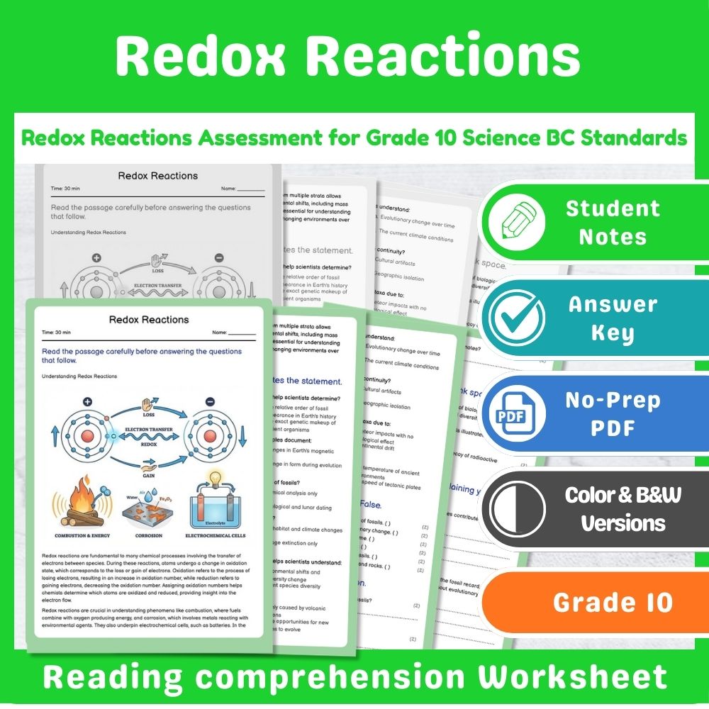 Grade 10 Science Assessment Bundle – Chemical Reactions & Atomic Structure — included worksheet 6