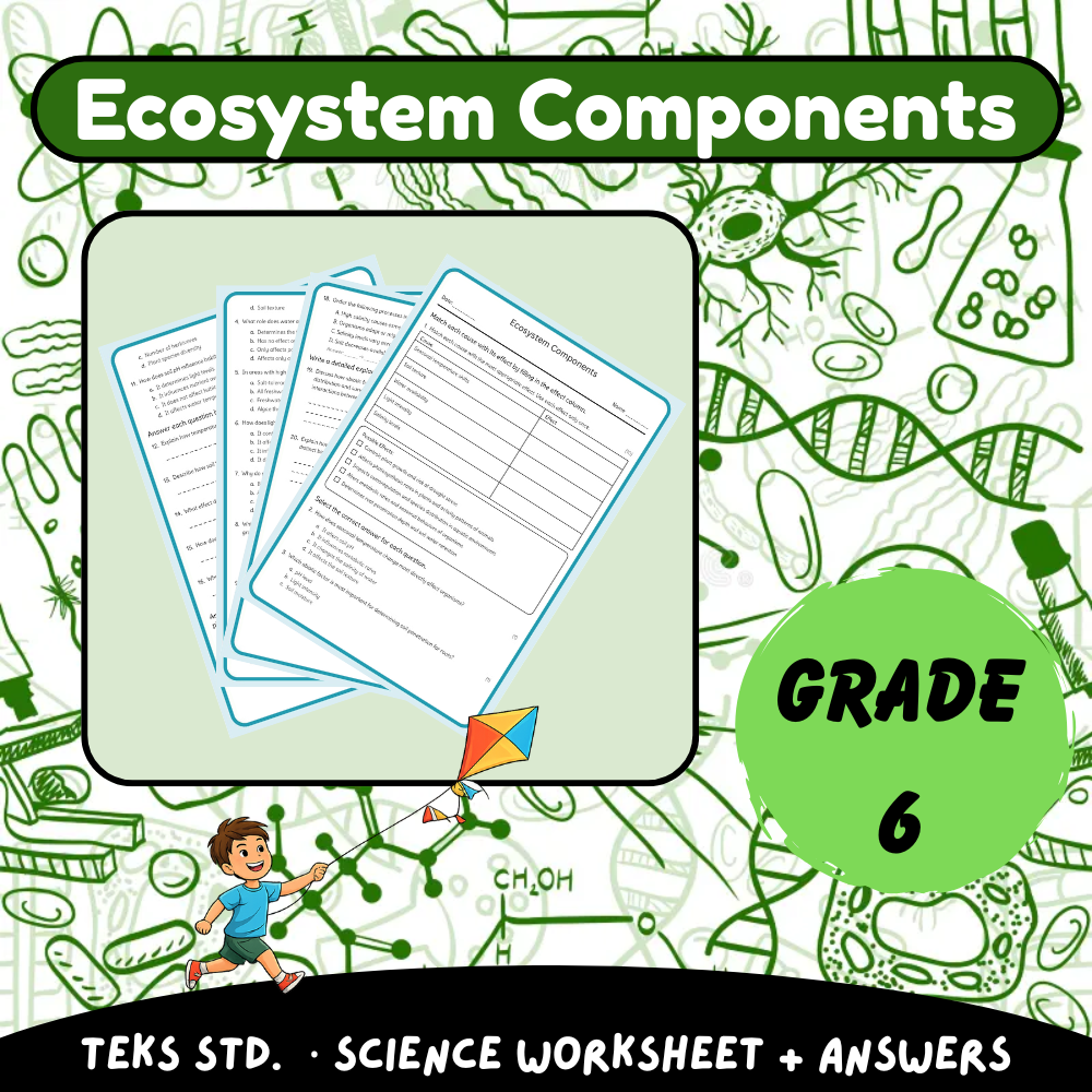 6th Grade Science | Ecosystem Components Worksheet (PDF) – TEKS Aligned