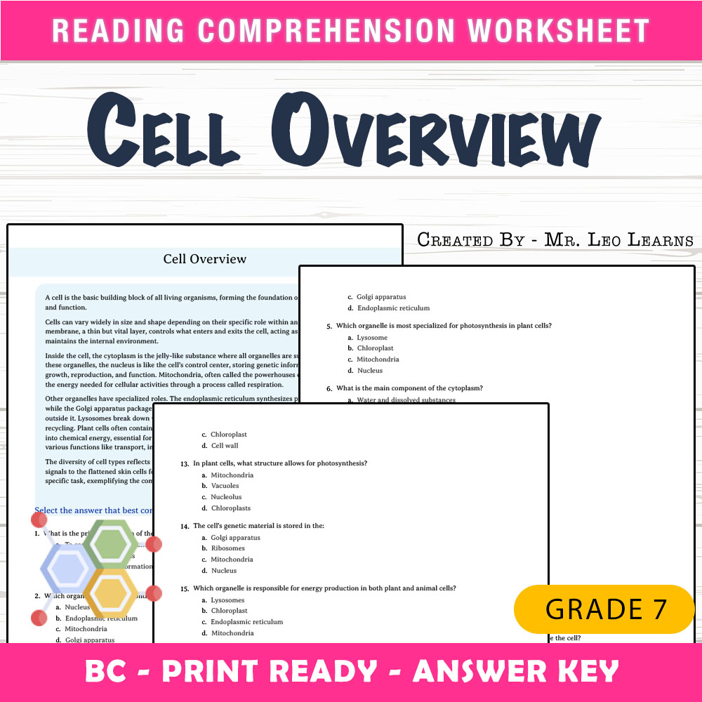 Grade 7 Science worksheet mcq paper worksheet — Grade 7 Science — Cell Overview Worksheet MCQ Practice PDF + Answer Key —…