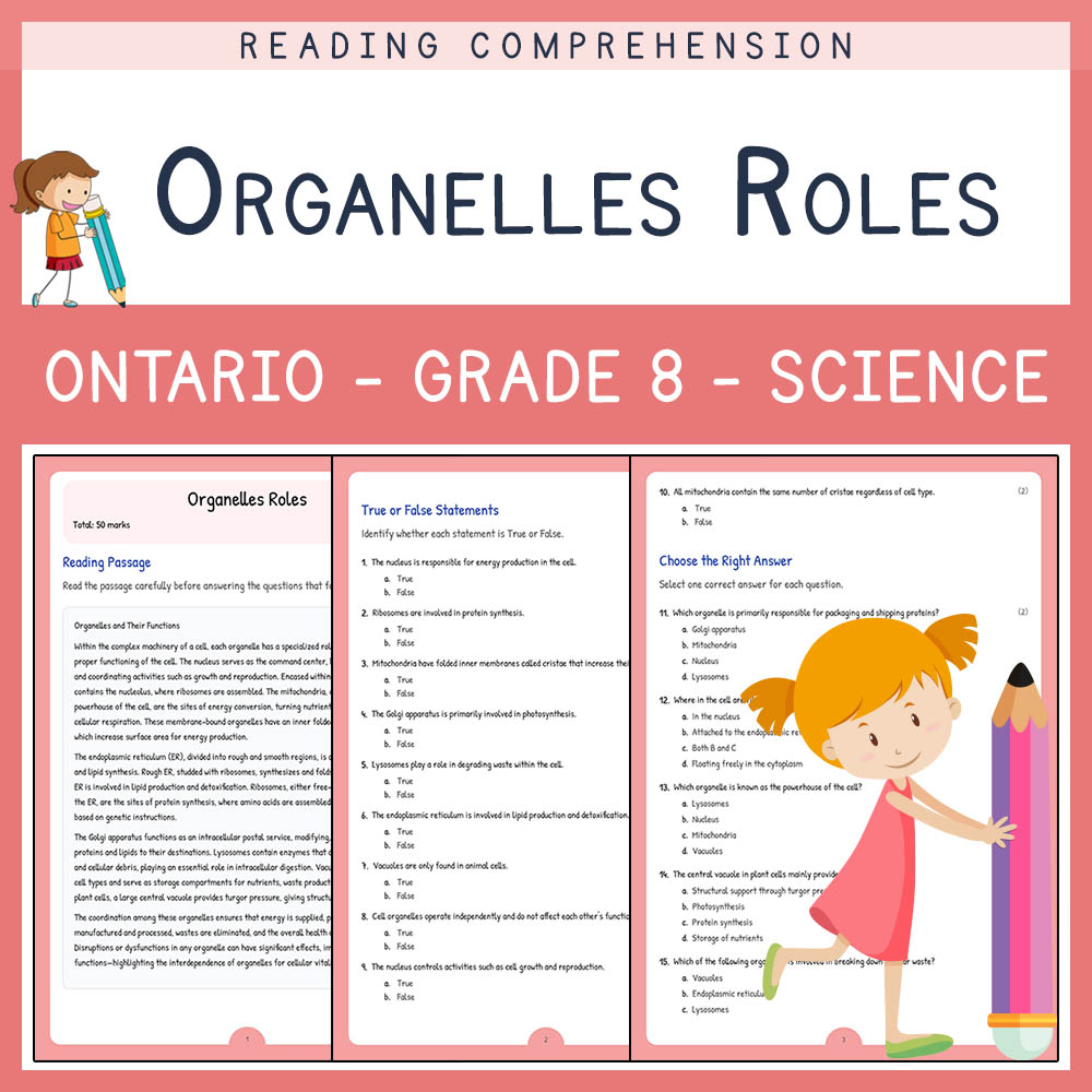 Grade 8 Science worksheet elena worksheet — Grade 8 Science Assessment | Organelles Roles Worksheet Elena | Ontario — page 1