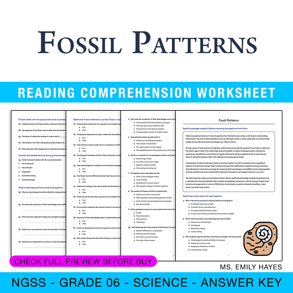 Grade 6 Science worksheet worksheet — 6th Grade Science | Fossil Patterns Worksheet (PDF + Answer Key) — page 1
