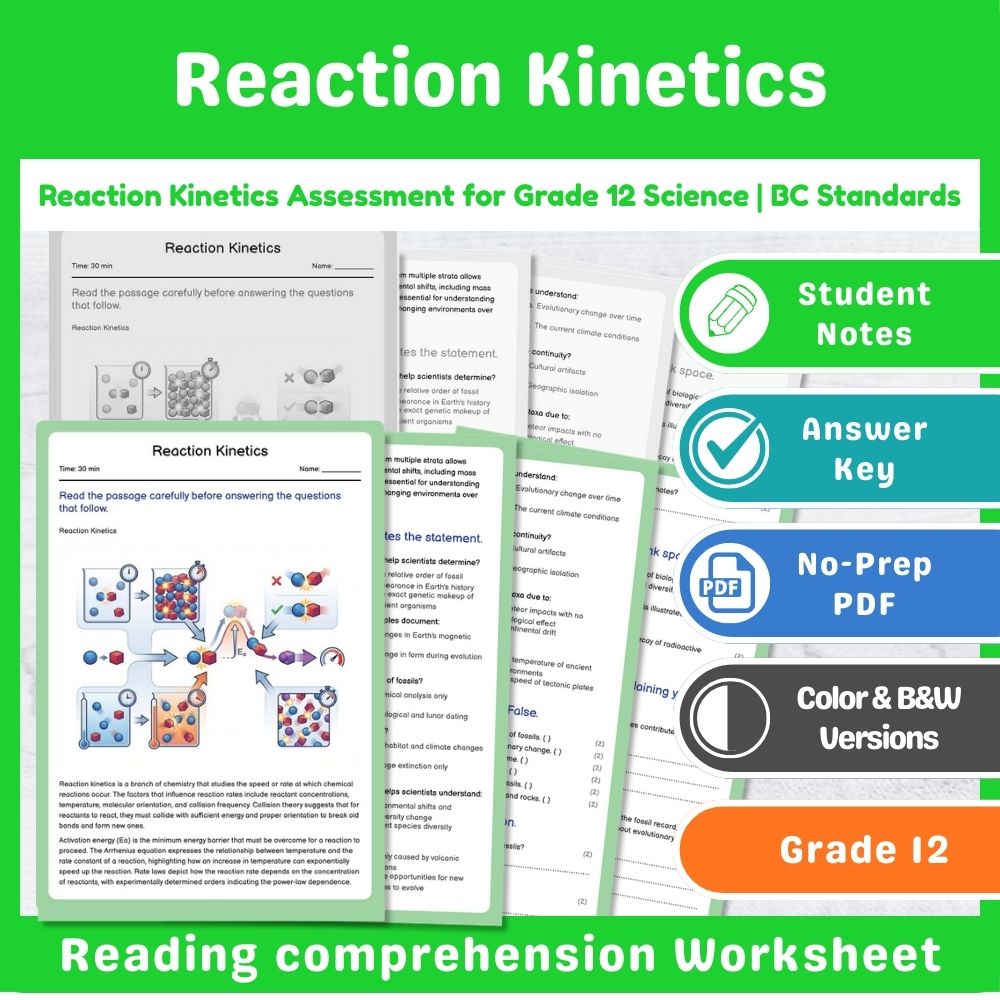 Grade 12 Science Mini Bundle – Thermochemistry & Equilibrium Assessment — included worksheet 8
