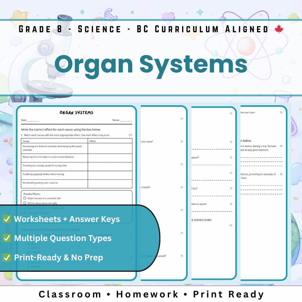 Grade 8 Science | Organ Systems Worksheet (Worksheet + Answer Key)– BC Standards