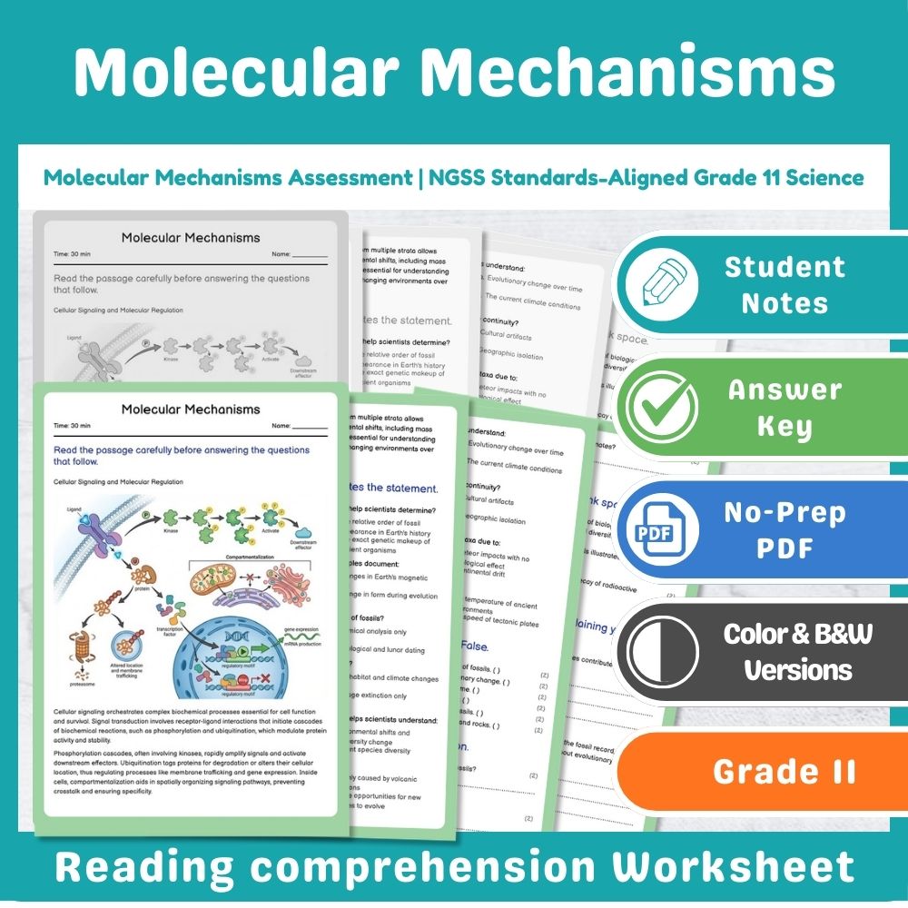 Grade 11 Science Mini Bundle | From Molecules to Organisms NGSS Not Specified — included worksheet 4
