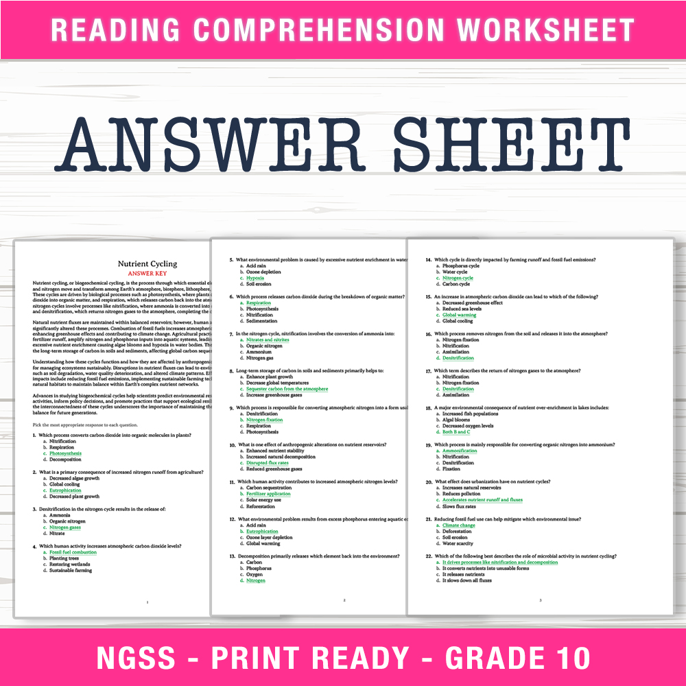 Grade 10 Science worksheet worksheet — Grade 10 Science | Nutrient Cycling Worksheet (PDF + Answer Key) — page 2