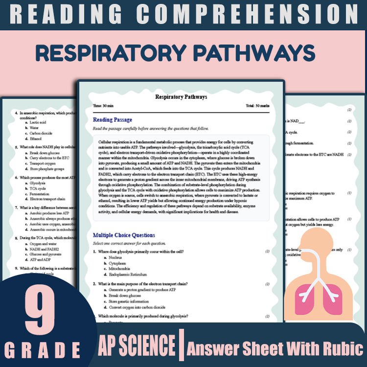Grade 9 Science reading worksheets worksheet — Grade 9 Science | Respiratory Pathways Reading Worksheet (PDF + Answer Key)…