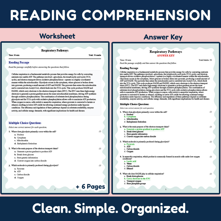 Grade 9 Science reading worksheets worksheet — Grade 9 Science | Respiratory Pathways Reading Worksheet (PDF + Answer Key)…