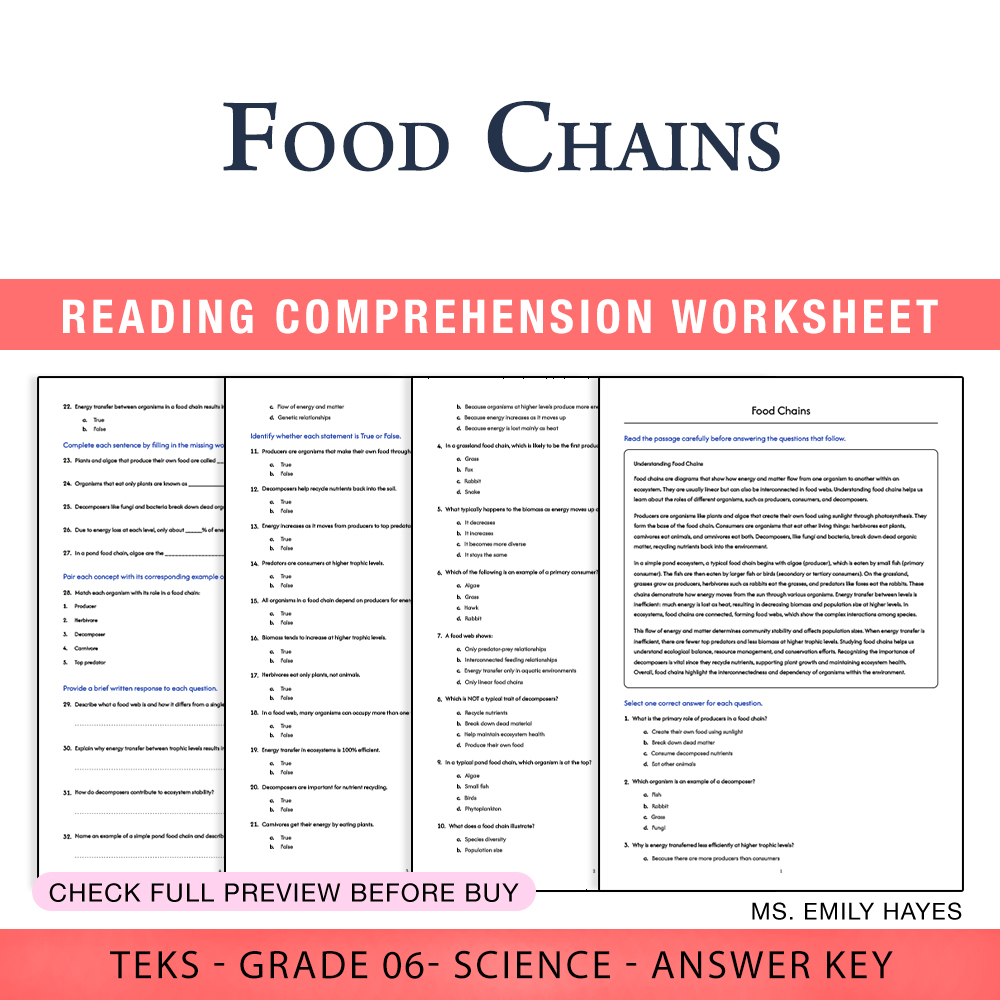 Grade 6 Science worksheet worksheet — 6th Grade Science | Food Chains Worksheet (PDF+ Answer Key) — page 1