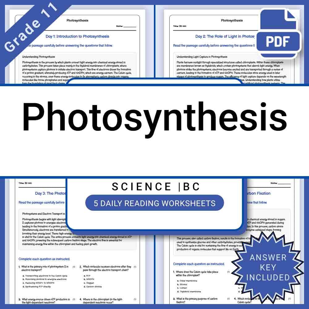Grade 11 Science Lesson Bundle BC Framework | STEM & Core Concepts — included worksheet 6