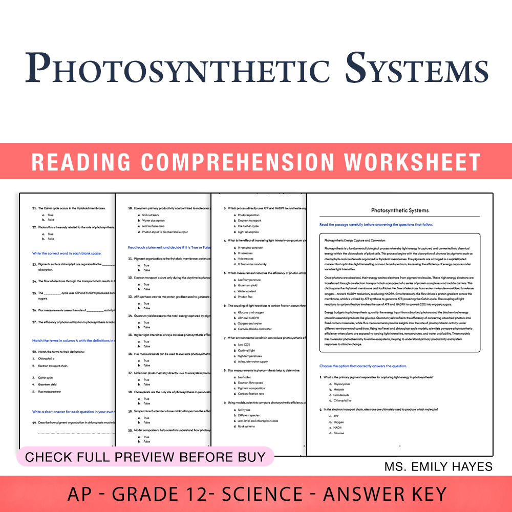 Grade 12 Science worksheet assessment worksheet — 12th Grade Science | Photosynthetic Systems Assessment Worksheet (PDF+ A…