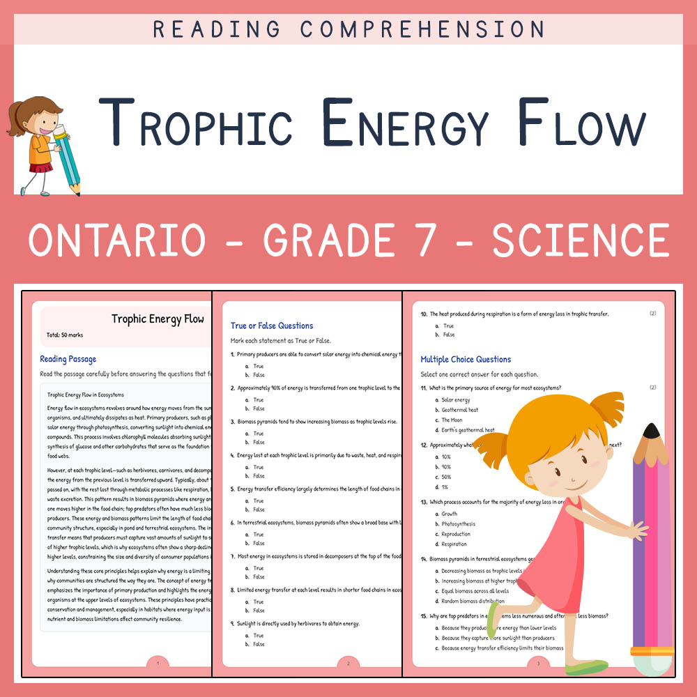 Grade 7 Science worksheet elena worksheet — Grade 7 Science | Trophic Energy Flow Worksheet (Answer Key)  Ontario Curricul…