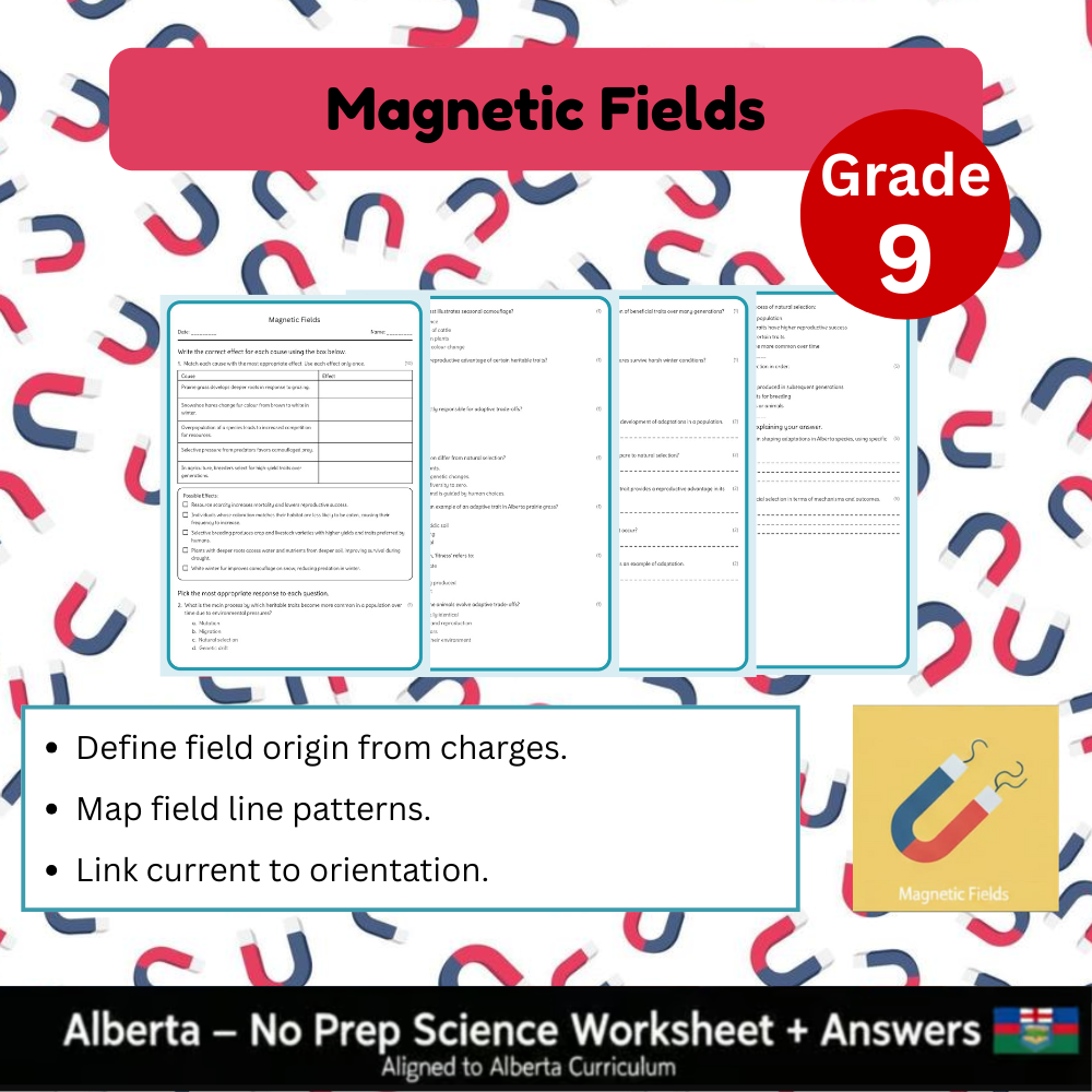 Grade 9 Science Worksheet Bundle | Genetics, Chemistry & Physics Concepts — included worksheet 30