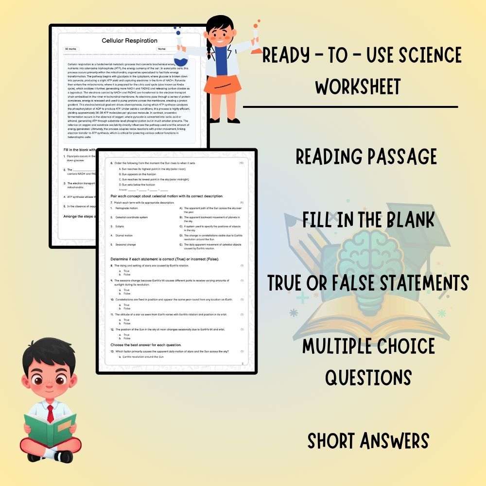 Grade 10 Science worksheet worksheet — Grade 10 Science | Cellular Respiration Worksheet (Answer Key) – Ontario Standards…