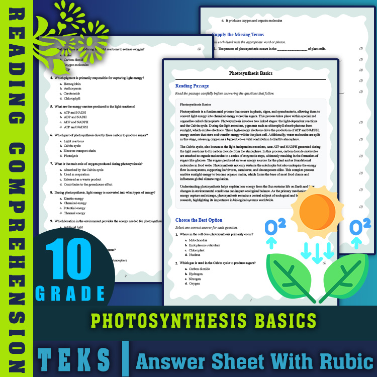 Grade 10 Science reading worksheets worksheet — 10th Grade Science | Photosynthesis Basics Reading Worksheet & PDF Answer…