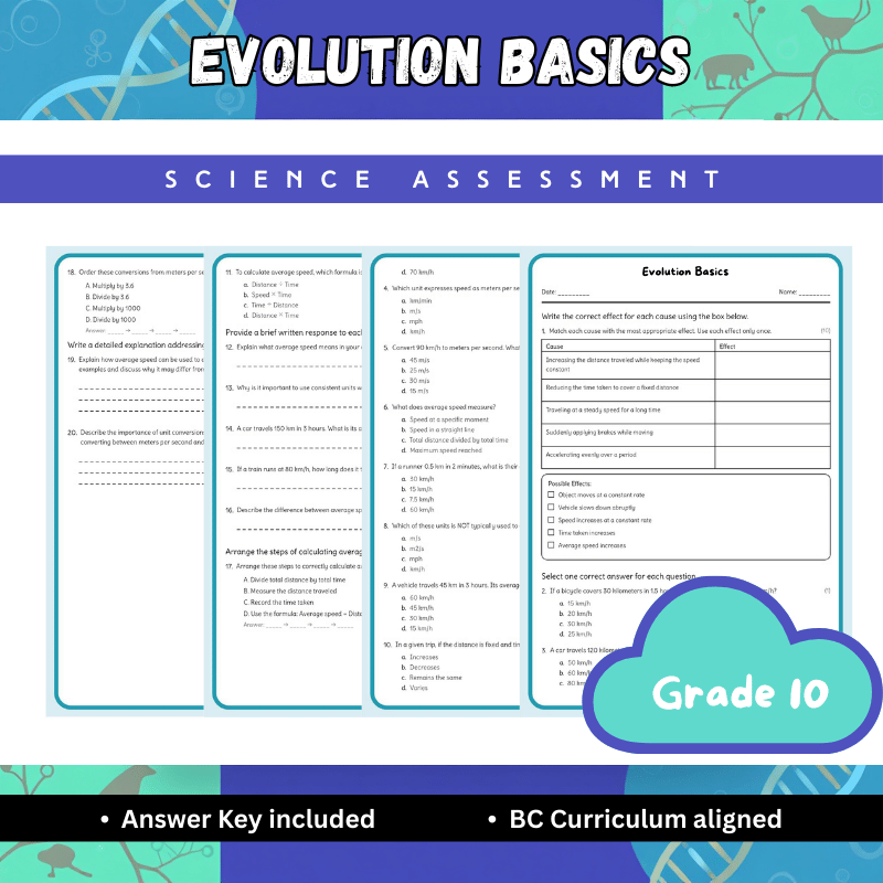 Grade 10 Science science 1 worksheet — 10th Grade Science | Evolution Basics Worksheet (PDF) – BC Standards