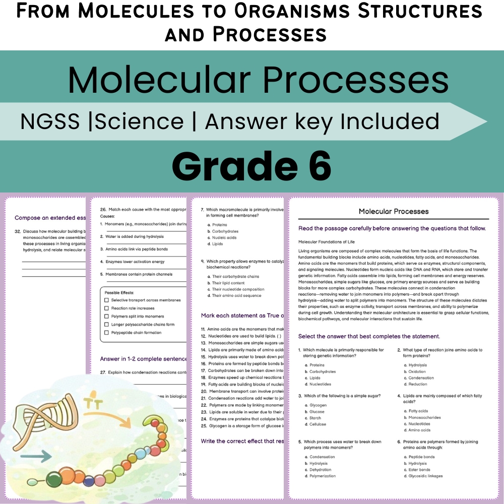 Grade 6 Science NGSS Worksheet Bundle | Comprehensive STEM Practice Pack — included worksheet 28
