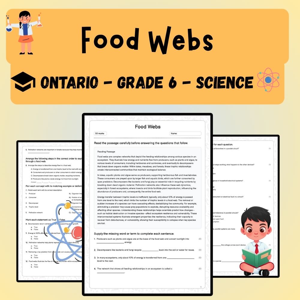 Grade 6 Science worksheet worksheet — Grade 6 Science | Food Webs Worksheet (PDF ) – Ontario Standards — page 1