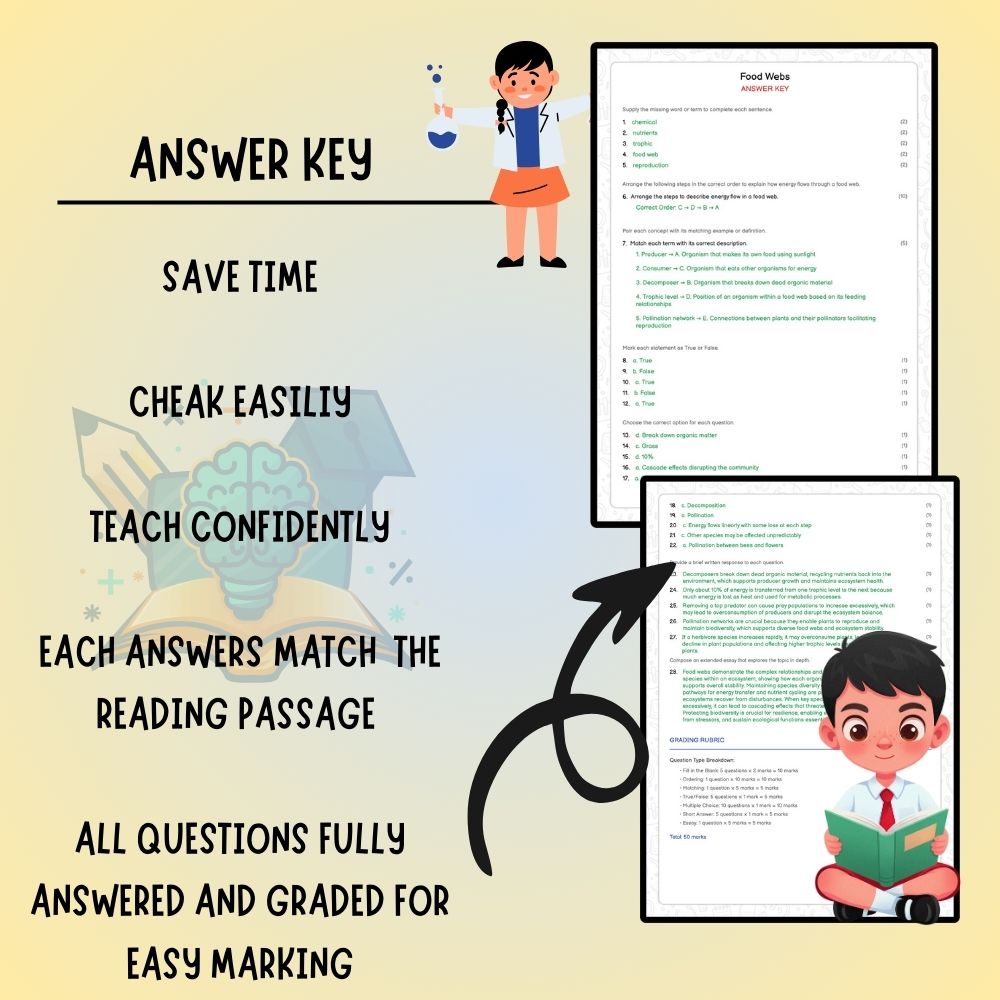 Grade 6 Science worksheet worksheet — Grade 6 Science | Food Webs Worksheet (PDF ) – Ontario Standards — page 3