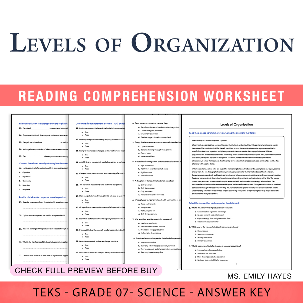 Grade 7 Science worksheet worksheet — 7th Grade Science | Levels of Organization Worksheet (PDF+ Answer Key) — page 1