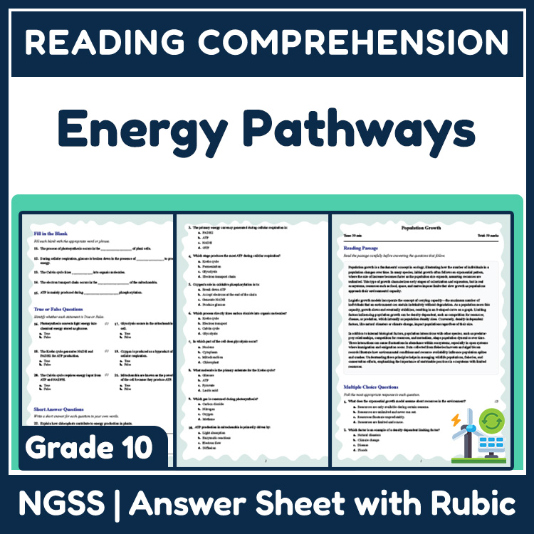 Grade 10 Science reading worksheets worksheet — Grade 10 Science | Energy Pathways Reading Worksheet PDF (Answer Key) — pa…