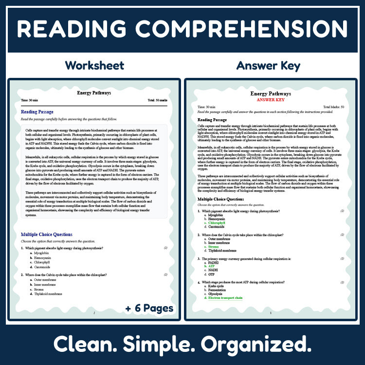 Grade 10 Science reading worksheets worksheet — Grade 10 Science | Energy Pathways Reading Worksheet PDF (Answer Key) — pa…
