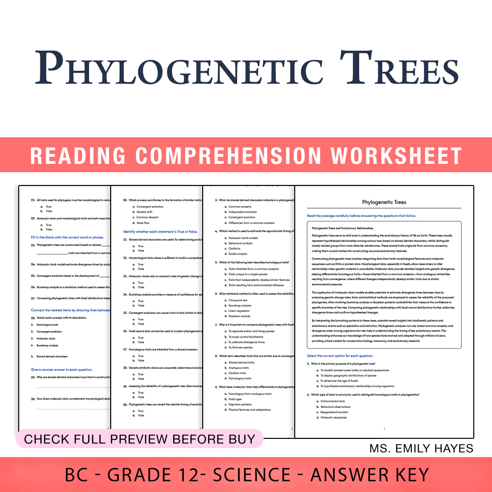 Grade 12 Science worksheet worksheet — 12th Grade Science | Phylogenetic Trees Worksheet (PDF + Answer Key) — page 1