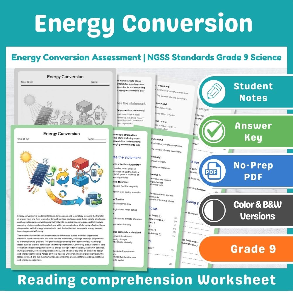 Grade 9 Science assessment worksheet — Energy Conversion Assessment | NGSS Standards Grade 9 Science